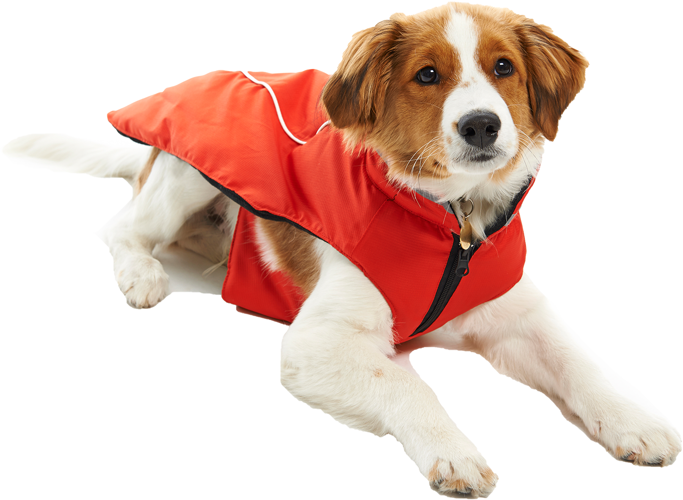 Kuscheliger roter Hundemantel mit Reißverschluss, perfekt, um Haustiere bei kühlem Wetter warm zu halten.