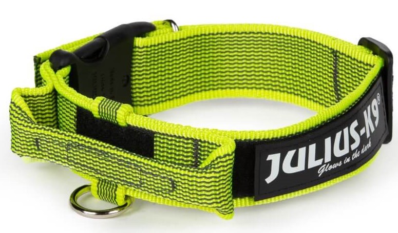Julius K9 Powerhalsband mit Haltegriff, Sicherheitsverschluss, Logofeld, 4cm, 41-51cm, neon