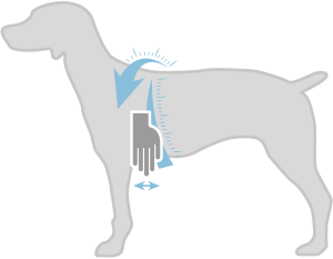 ham_meretezes-01-300x233 Maßanleitung für die Anpassung von Hundegeschirren, mit Anleitung zur Handpositionierung und Größenbestimmung.