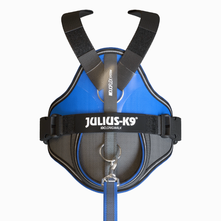 Flexibles Longwalk-System