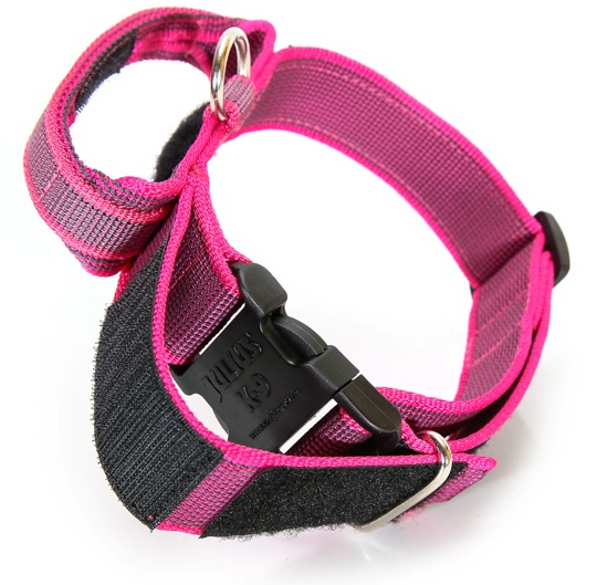 Julius K9 Powerhalsband mit Haltegriff, Sicherheitsverschluss, Logofeld, 5cm, 49-70 cm, pink
